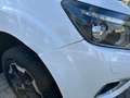 Nissan Navara NP300 DC AUTOM/MOTOR 20.000KM+AHK3.5+DIFF Белый - thumbnail 2