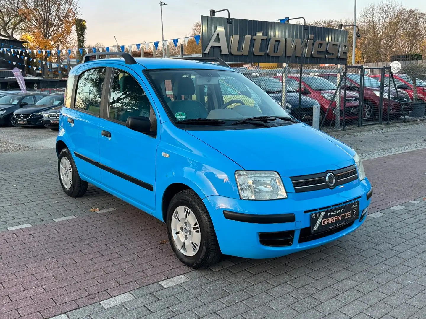 Fiat Panda 1.2 8V Dynamic*Klima*TÜV+SERVICE NEU Blau - 2