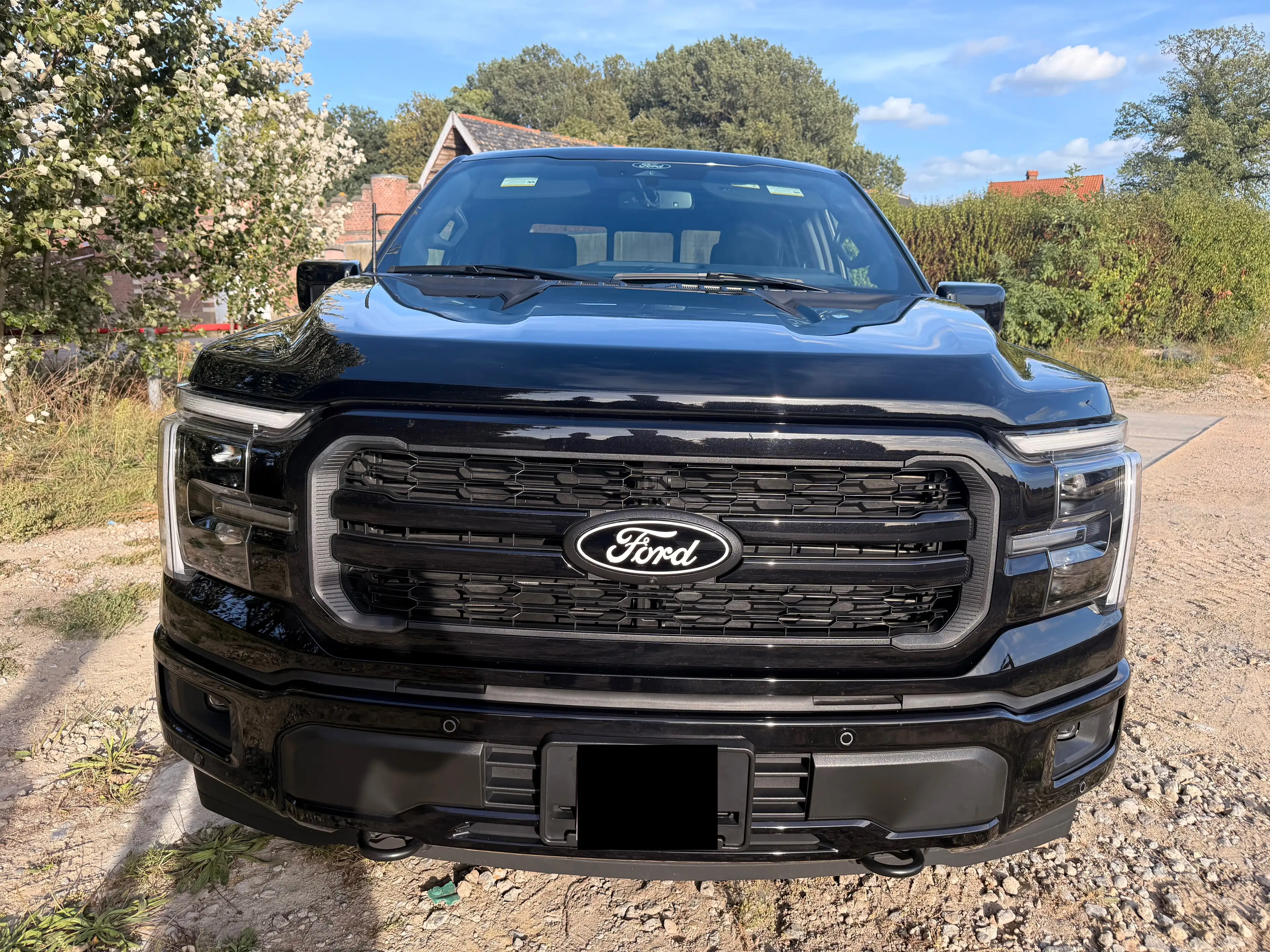 Ford F 150 F-150 Lariat V8 5.0L LPG — photo 2