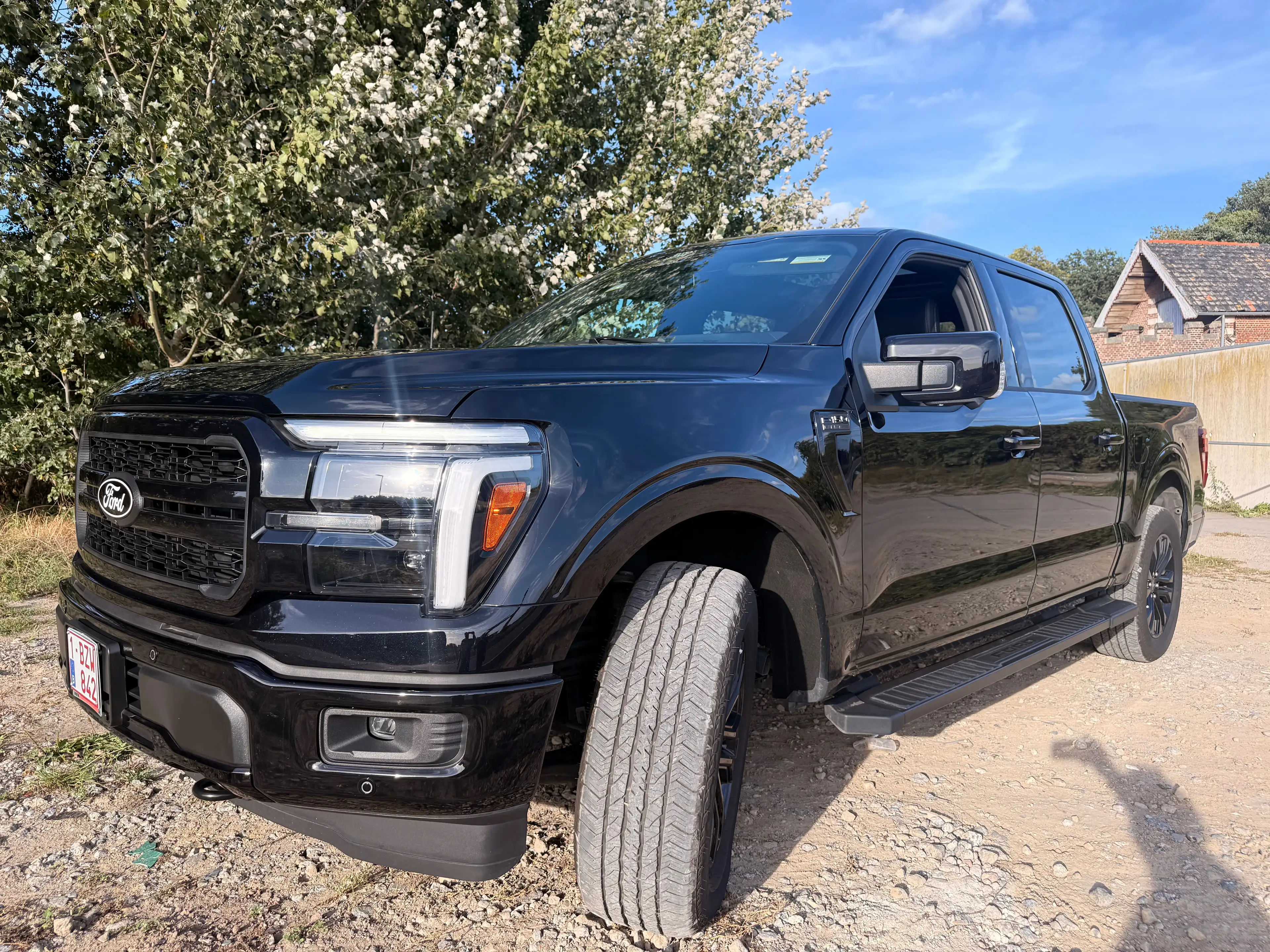 Ford F 150 F-150 Lariat V8 5.0L LPG — photo 3
