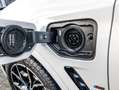 BMW X3 xDrive30e M Sport HUD+AHK+LASER+HIFI+MEMORY SITZE+ Wit - thumbnail 18