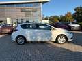 Toyota Auris 1.33 Dual-VVT-i Cool 8-fach, Klimaauto., BT Wit - thumbnail 16