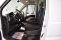Fiat Ducato FURGÓN MAXI 3.5T XL L4H2 2.3 MULTIJET 160 Blanco - thumbnail 5