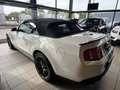 Ford Mustang Convertible 3.7 GT | Carplay | Nieuw Dak | Netjes Weiß - thumbnail 17