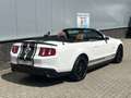Ford Mustang Convertible 3.7 GT | Carplay | Nieuw Dak | Netjes Weiß - thumbnail 3