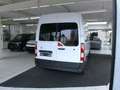 Renault Master Kasten L2H2 Weiß - thumbnail 3