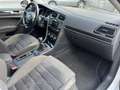 Volkswagen Golf Volkswagen Golf 7 1.4 TSI 122 CV - 2013 Bianco - thumbnail 8