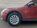 Audi Q5 2.0 TDI ultra quattro Rot - thumbnail 6