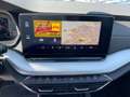 Skoda Octavia Combi 2,0 TDI Style DSG | AHK*ACC Schwarz - thumbnail 20