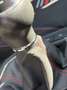 SEAT Ibiza 1,0 TGI FR Metano - thumbnail 17