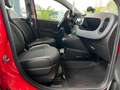 Fiat Panda Red 1.HAND/KLIMA/TÜV NEU Rot - thumbnail 14