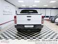 Ford Ranger Wildtrak Doppelka. 4x4*Motor & Getriebe NEU*1Vorb* Weiß - thumbnail 4
