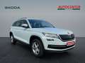 Skoda Kodiaq 1.4 TSI ACT 4x4 Ambition Weiß - thumbnail 3