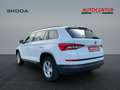 Skoda Kodiaq 1.4 TSI ACT 4x4 Ambition Weiß - thumbnail 7