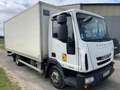 Iveco Daily EUROCARGO Blanc - thumbnail 2
