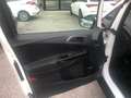 Ford B-Max 1.4 Business Titanium Gpl 90cv Wit - thumbnail 12