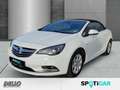 Opel Cascada Innovation 1.6 El. Verdeck Navi Leder Bi-Xenon Kur Weiß - thumbnail 1