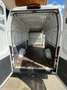 Fiat Ducato MAXI Weiß - thumbnail 5