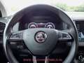 Skoda Karoq 1.5TSI VIRTUAL ACC/CARPLAY/CAMERA/DAB/KEYLESS Grau - thumbnail 20