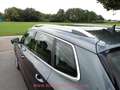 Skoda Karoq 1.5TSI VIRTUAL ACC/CARPLAY/CAMERA/DAB/KEYLESS Grau - thumbnail 7