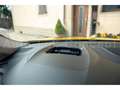 Renault Megane RS Ultime TCe 300 EDC/Pano/HUD/Kamera/ACC Giallo - thumbnail 13