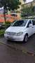 Mercedes-Benz Vito 115 CDI 4MATIC Kompakt DPF Aut. Basic - Neu Tüv Blanco - thumbnail 1