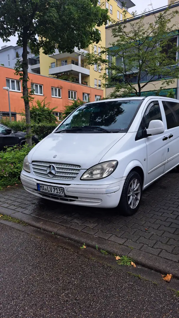 Mercedes-Benz Vito 115 CDI 4MATIC Kompakt DPF Aut. Basic - Neu Tüv Weiß - 1