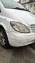 Mercedes-Benz Vito 115 CDI 4MATIC Kompakt DPF Aut. Basic - Neu Tüv Blanco - thumbnail 12
