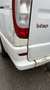 Mercedes-Benz Vito 115 CDI 4MATIC Kompakt DPF Aut. Basic - Neu Tüv Blanco - thumbnail 19
