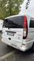 Mercedes-Benz Vito 115 CDI 4MATIC Kompakt DPF Aut. Basic - Neu Tüv Blanco - thumbnail 20
