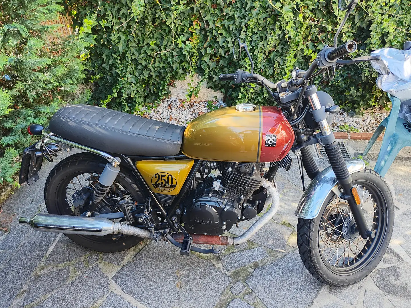 Brixton Cromwell 250 Goud - 1