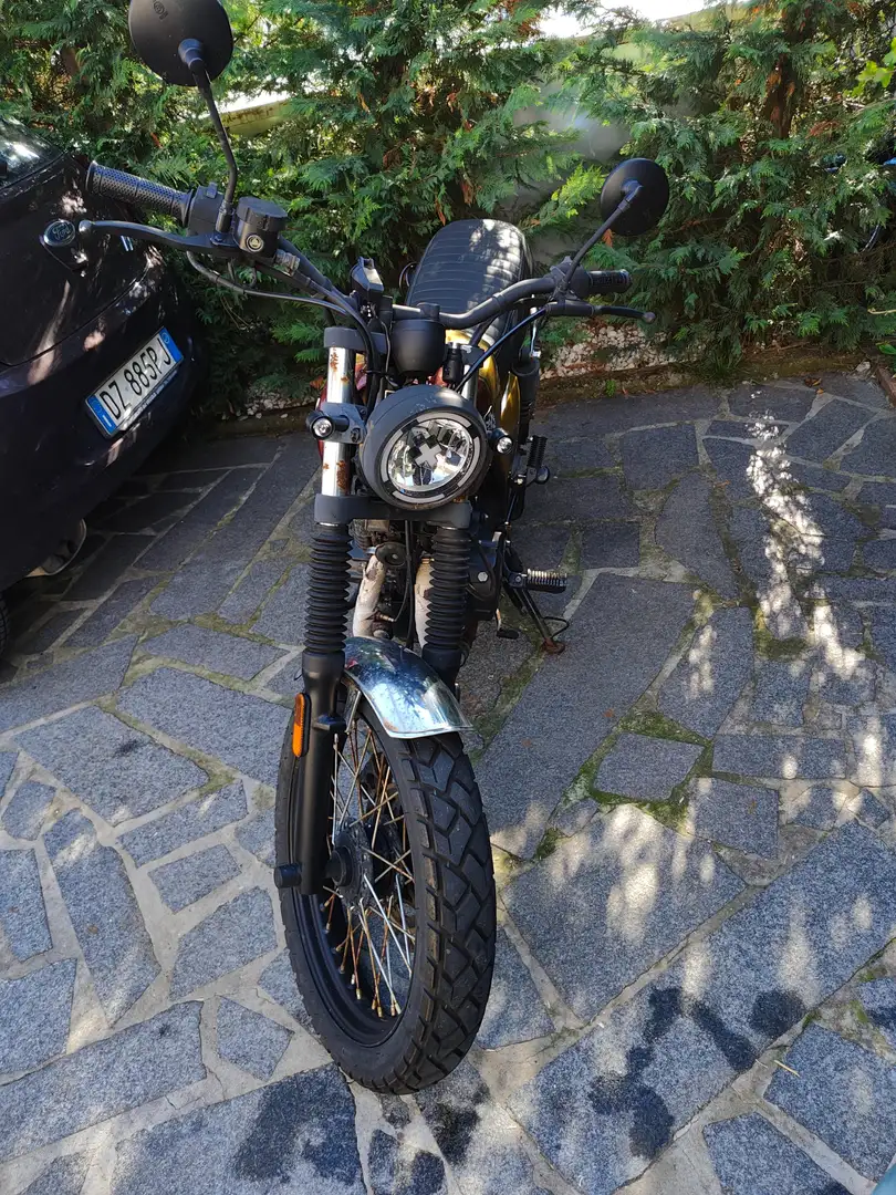 Brixton Cromwell 250 Goud - 2