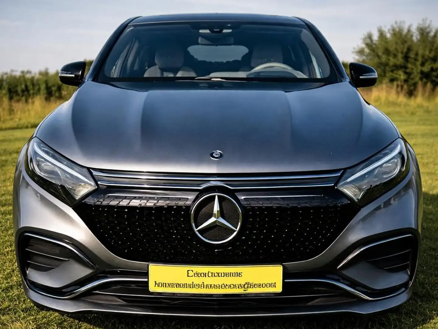 Mercedes-Benz EQS SUV EQS 450 Grau - 1