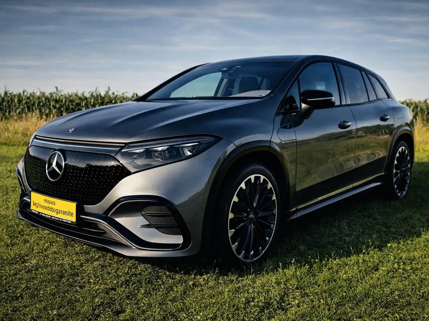 Mercedes-Benz EQS SUV EQS 450 Grau - 2
