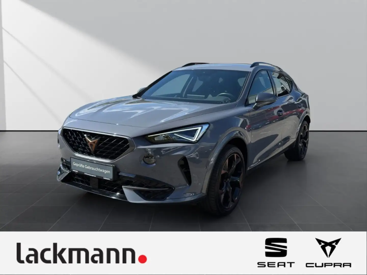 CUPRA Formentor 2.0 VZ 4Drive *Navi*LED*AHK*elek.Heck* Grau - 1