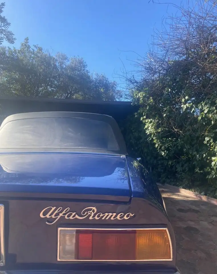 Alfa Romeo Spider 1.6 Junior, foto 8