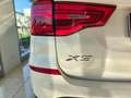 BMW X3 X3 G01 xdrive20d mhev 48V Business Advantage auto Weiß - thumbnail 10