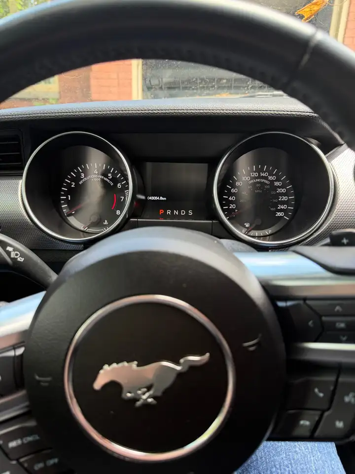 Ford Mustang снимка Ford Mustang