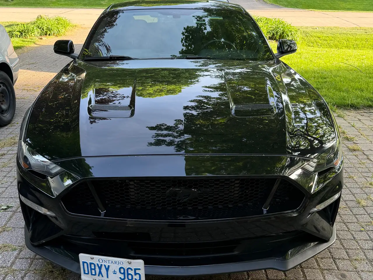 2020 Ford Mustang