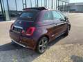 Fiat 500C 0,9 TwinAir 85 Star / KLIMA / NAVI / SITZHEIZUNG Violett - thumbnail 4