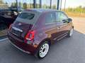 Fiat 500C 0,9 TwinAir 85 Star / KLIMA / NAVI / SITZHEIZUNG Violett - thumbnail 5