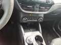 Ford Kuga Titanium X 2.5 SHZ 4xSHZ ACC Gris - thumbnail 11