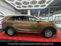 Kia Sorento Platinum Edition 4WD AHK 360* Braun - thumbnail 21