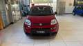 Fiat Panda 1.0 FireFly S&S Hybrid Rosso - thumbnail 6
