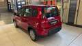 Fiat Panda 1.0 FireFly S&S Hybrid Rosso - thumbnail 3