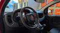 Fiat Panda 1.0 FireFly S&S Hybrid Rosso - thumbnail 8