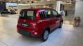 Fiat Panda 1.0 FireFly S&S Hybrid Rosso - thumbnail 5