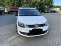 Volkswagen Sharan Match BMT Weiß - thumbnail 6
