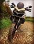 Ducati Multistrada 1260 Enduro Beige - thumbnail 4