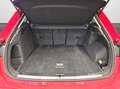 Audi Q3 45 TFSI e S tronic S line NaviPlus Matrix 20-Zo... Rot - thumbnail 12